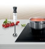Máy Xay Sinh Tố Cầm Tay Bosch HMH.MS61A4110 800W